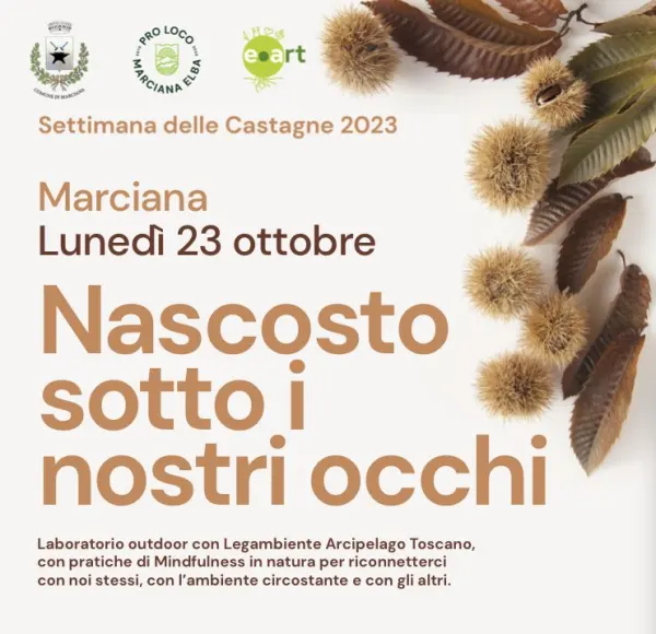 Nascosto sotto i nostri occhi