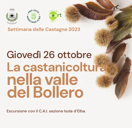 I castagni della valle del Bollero