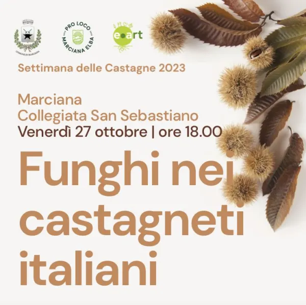 Funghi nei castagneti italiani