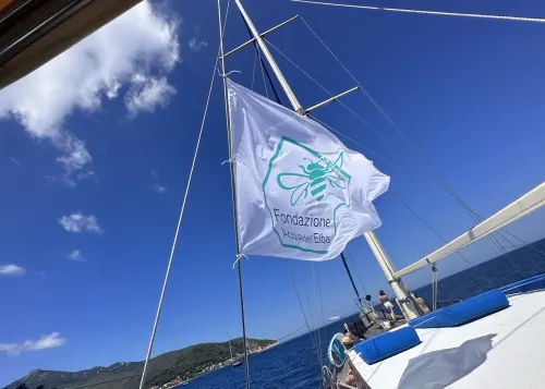 Green Week