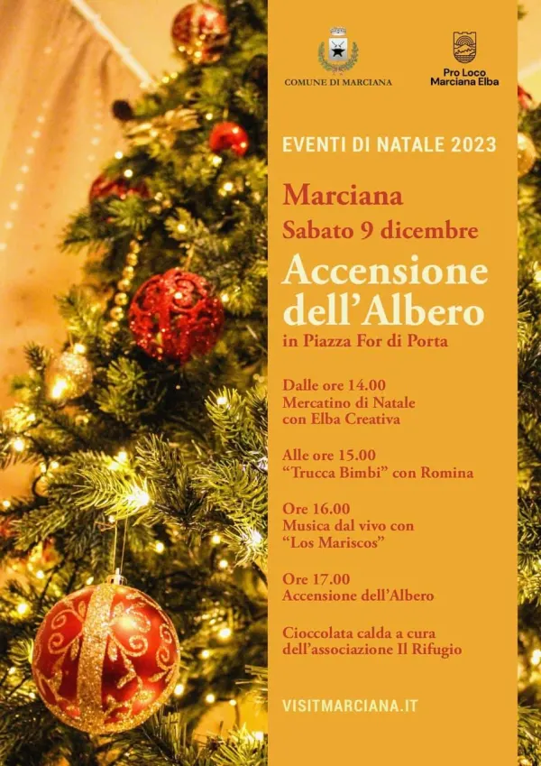 Accensione dell'Albero di Natale