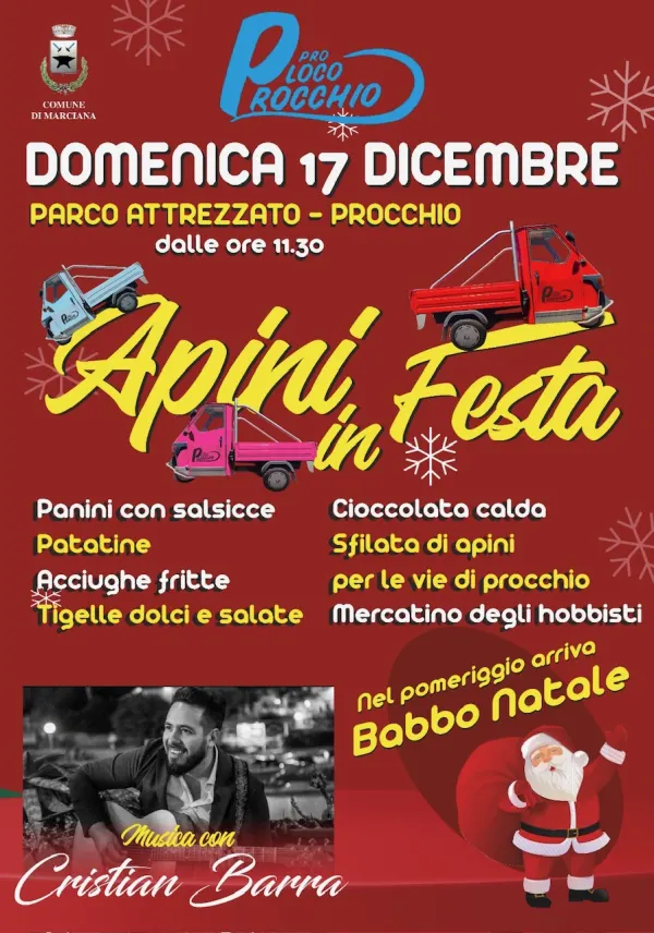 Apini in Festa