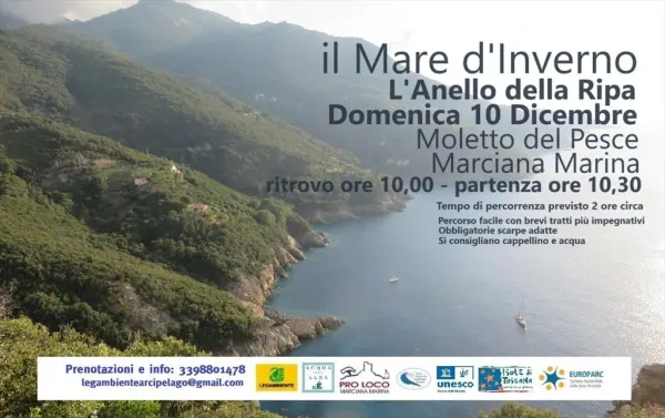 Il Mare d'inverno
