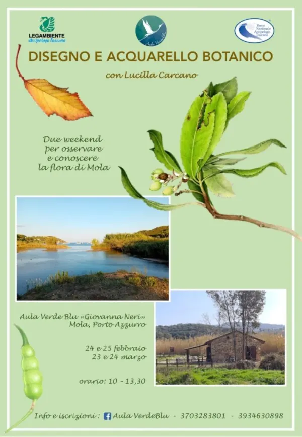 Corso di disegno e acquarello botanico
