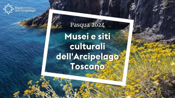 Vita più che umana