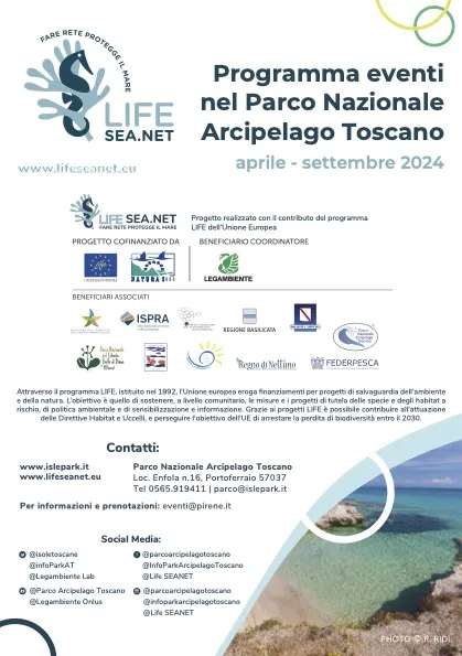 Mare Amico