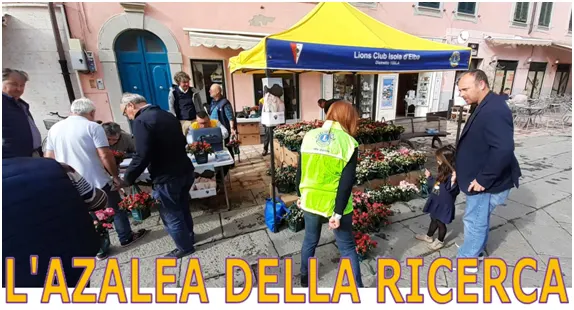 L'Azalea della Ricerca