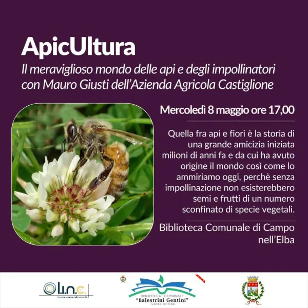 ApicUltura