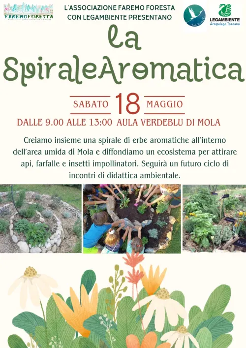 Spirale Aromatica