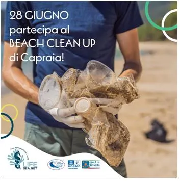 Beach clean up
