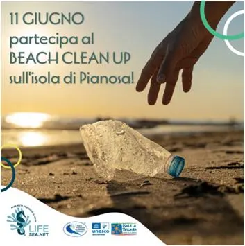 Beach clean up