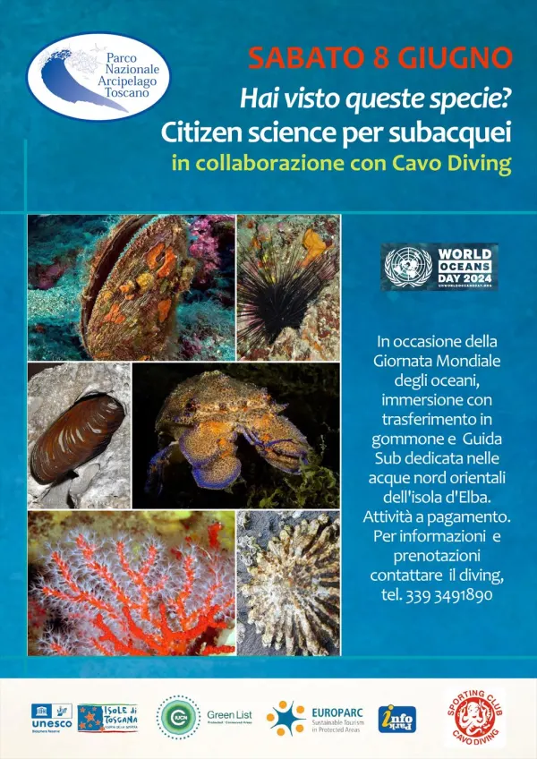 Citizen Science per subacquei