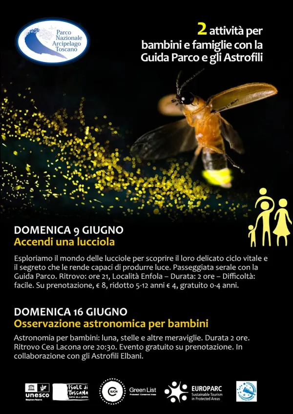 Accendi una lucciola