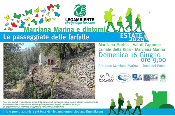 Trekking delle Farfalle - Marciana Marina - Val di Cappone - Crinale della Ripa