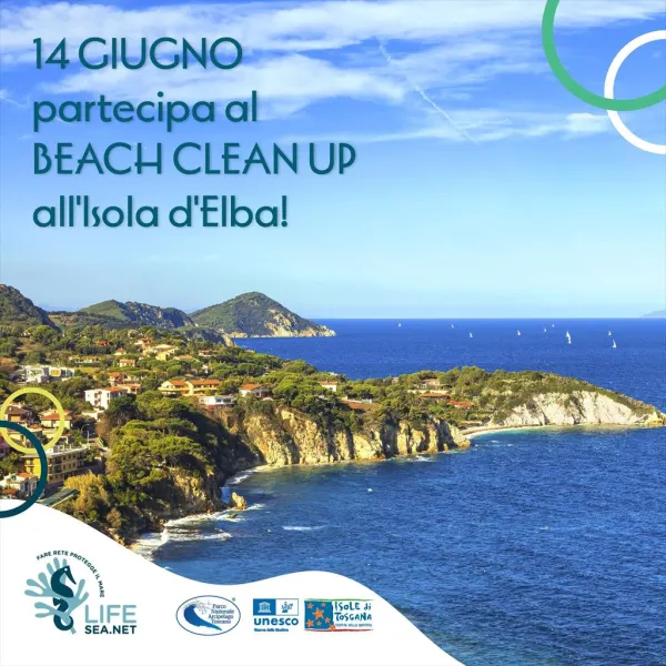 Beach clean up