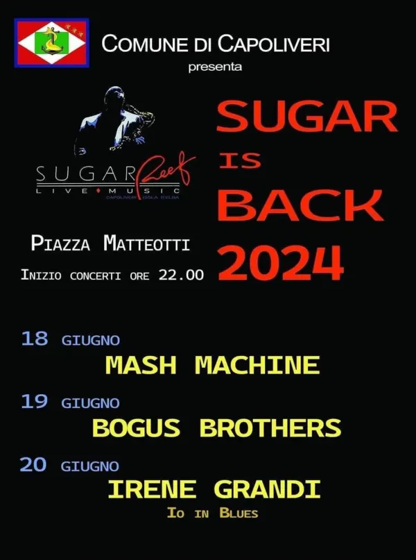 Sugar is back - Mash Machine
