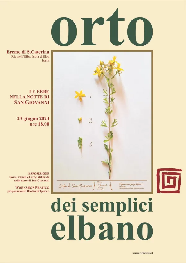 Le erbe nella notte di San Giovanni