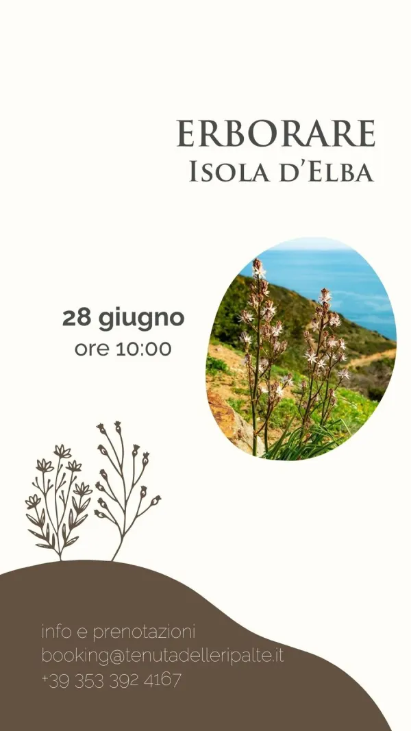 Erborare Isola d'Elba