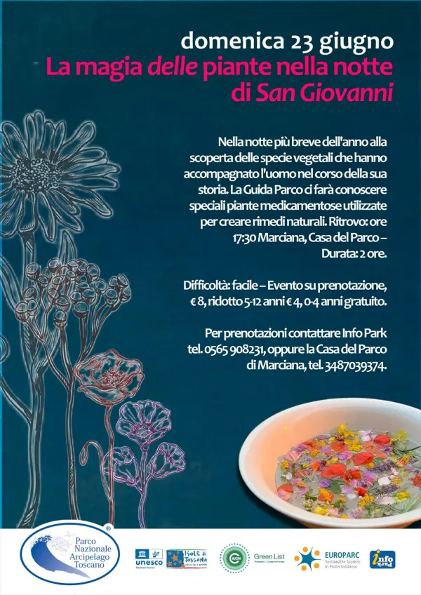 La magia delle piante nella notte di San Giovanni