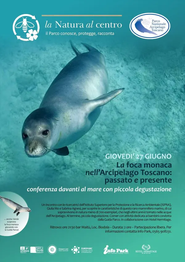 La Natura al Centro - La Foca monaca nell’Arcipelago Toscano