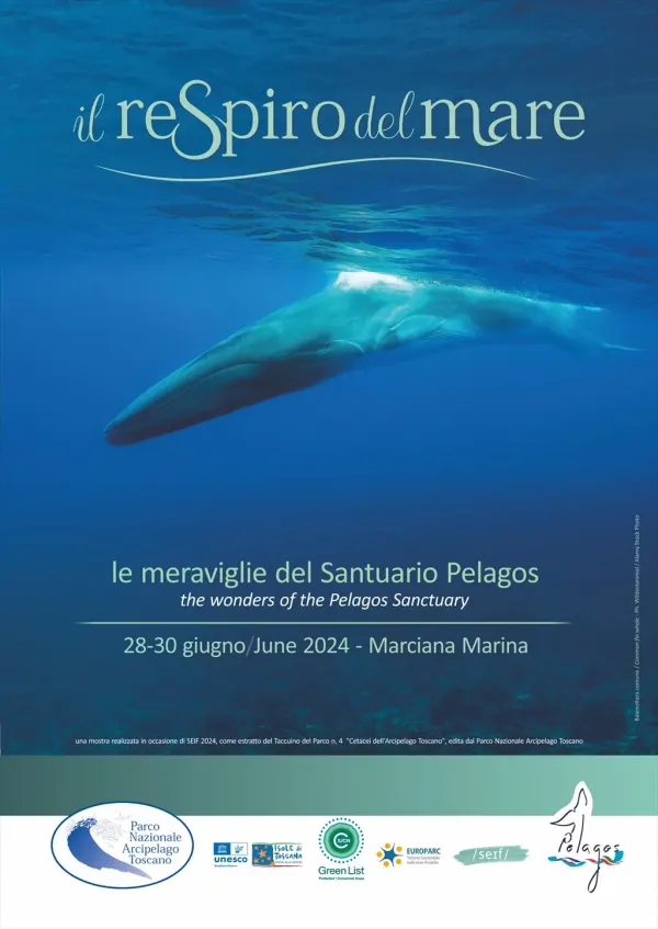 Il respiro del mare