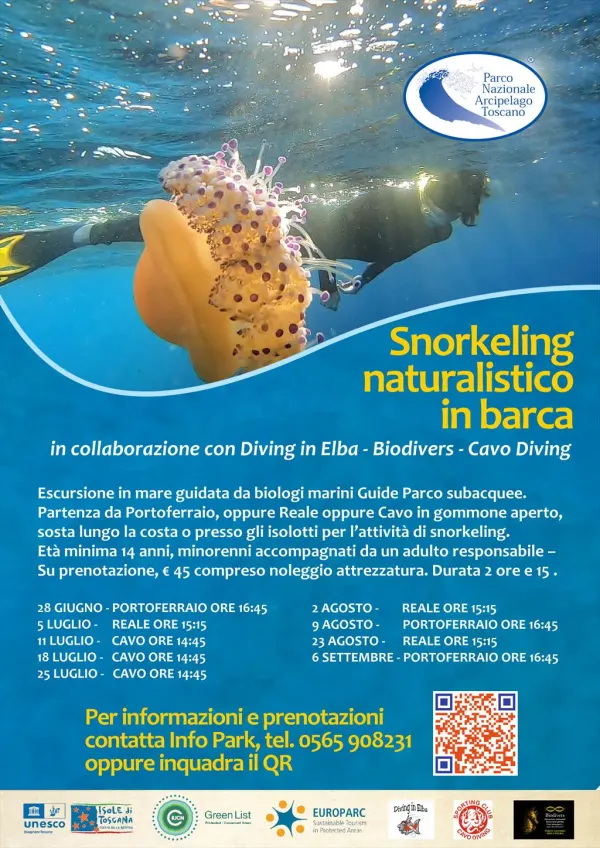 Snorkeling naturalistico in barca allo Scoglietto