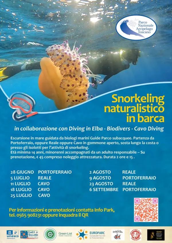 Snorkeling naturalistico in barca
