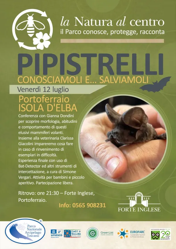 La Natura al Centro - Pipistrelli! Conosciamoli e…salviamoli