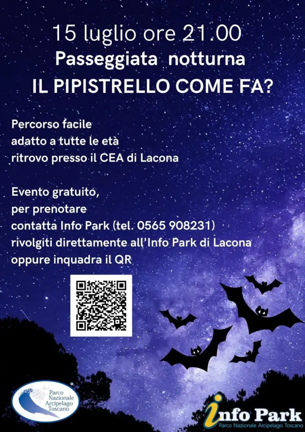 Gli animali della notte: il pipistrello come fa?