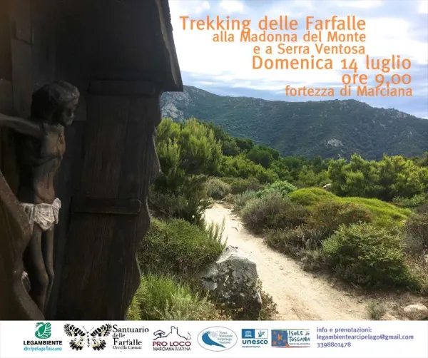 Trekking delle Farfalle alla Madonna del Monte e Serra Ventosa