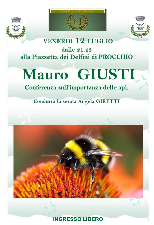 L'importanza delle api 