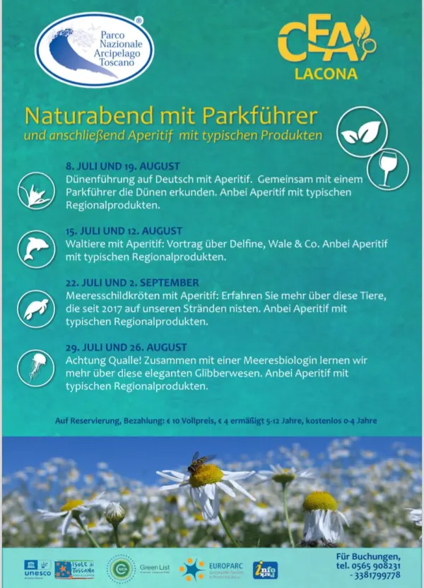 Waltiere mit Aperitif: Vortrag über Delfine, Wale & Co.