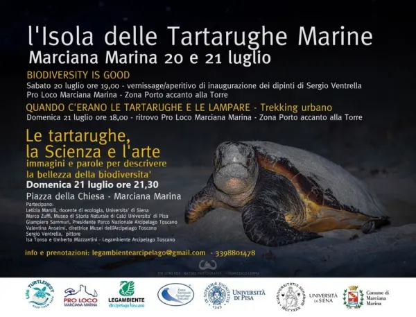 Giornate delle tartarughe