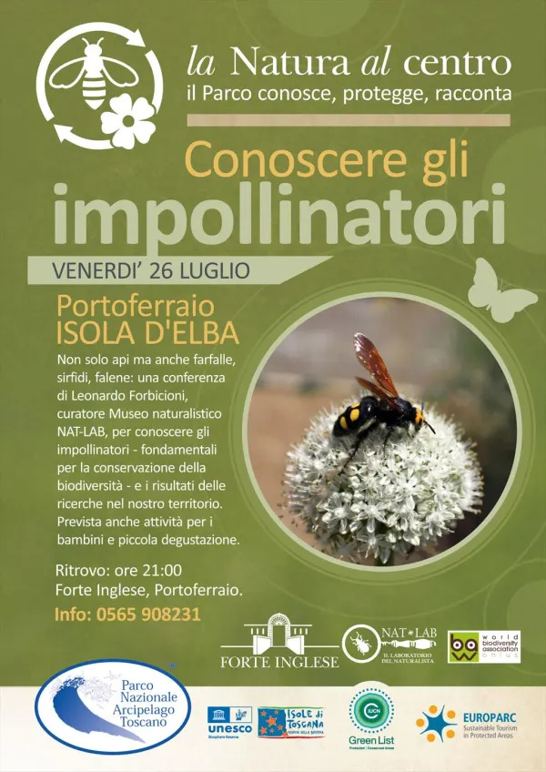 La Natura al Centro - Conoscere gli impollinatori