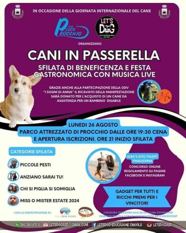 Cani in passerella - Sfilata di beneficenza 