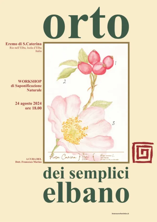 Workshop pratico di saponificazione vegetale