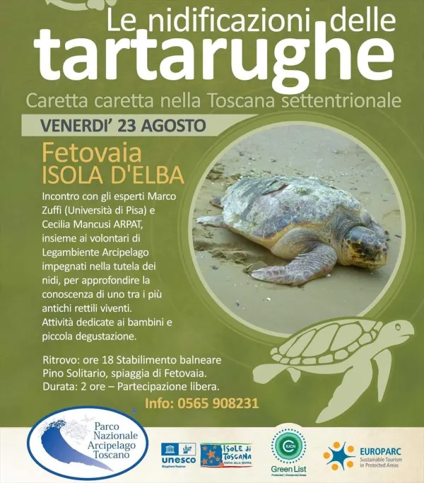 La Natura al Centro - Le nidificazioni delle tartarughe Caretta caretta nella Toscana settentrionale