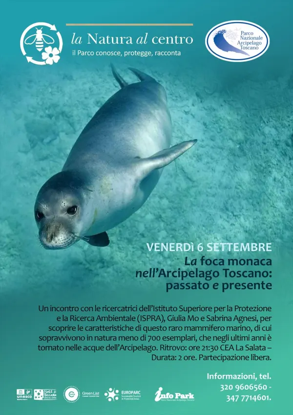 La Natura al Centro - La Foca monaca nell’Arcipelago Toscano: passato e presente