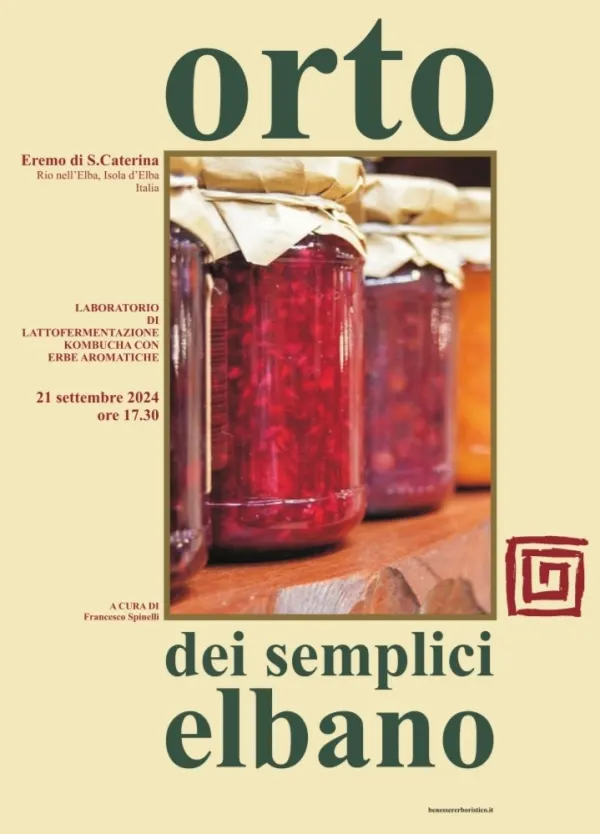 Laboratorio di fermentazione: kombucha con erbe aromatiche