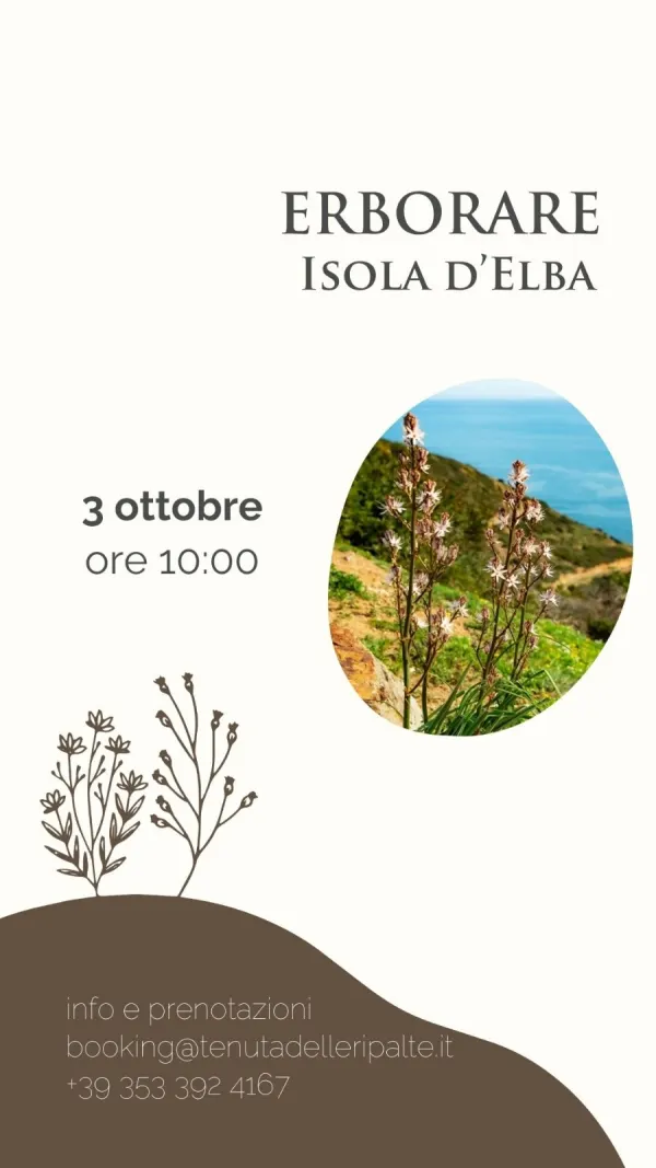 Erborare Isola d'Elba