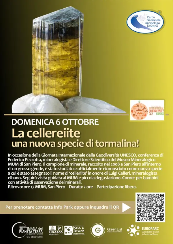 La cellereiite, una nuova specie di tormalina!