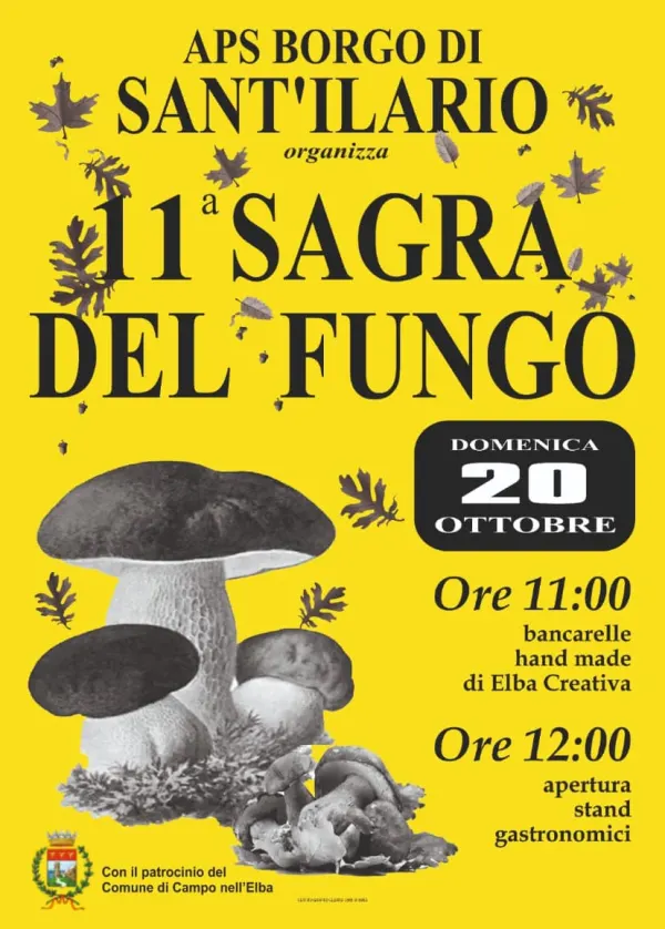 11° Sagra del fungo