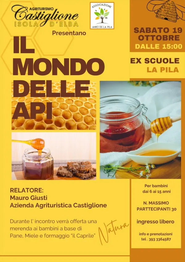 Il mondo delle api