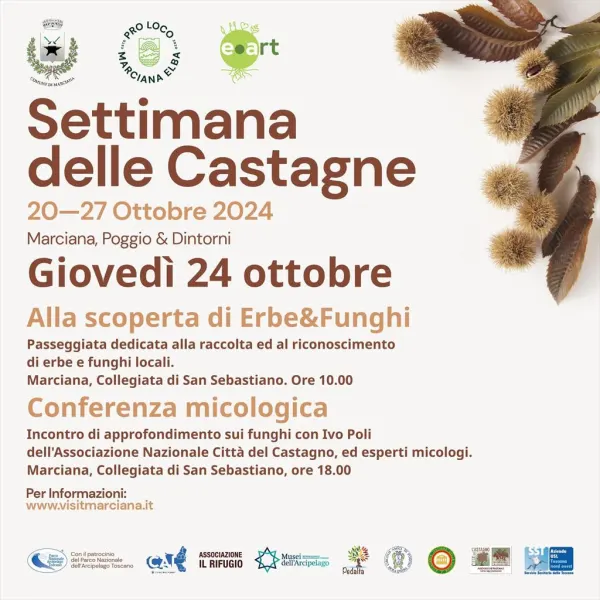 Tradizioni d'autunno