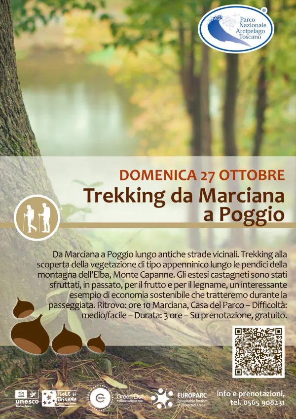 Trekking alla scoperta della vegetazione