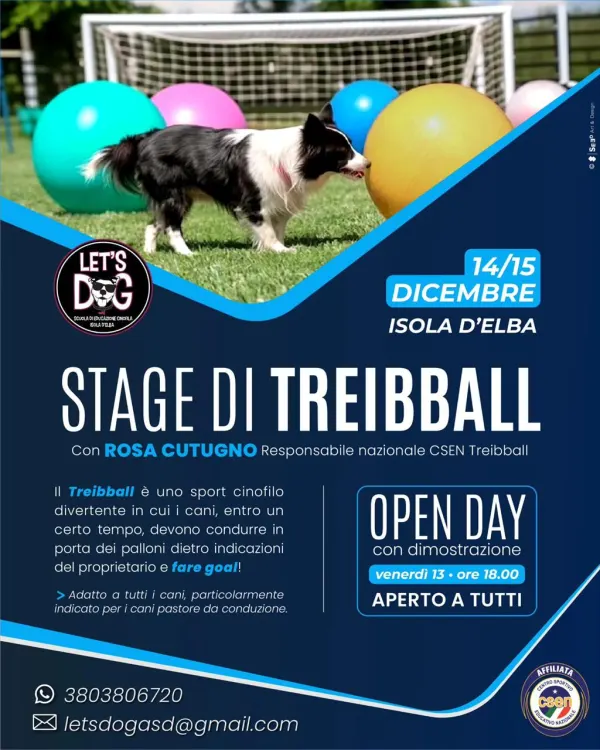 Stage di Treibball