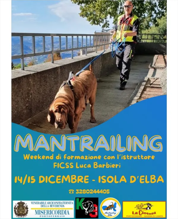 Mantrailing Elba