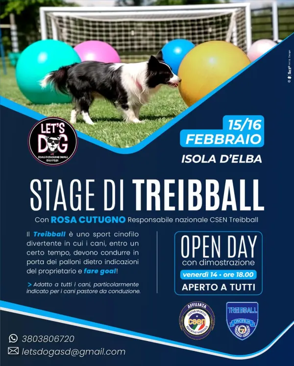 Stage di Treibbal