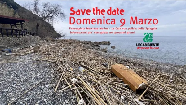 Passeggiata e pulizia della spiaggia della Cala