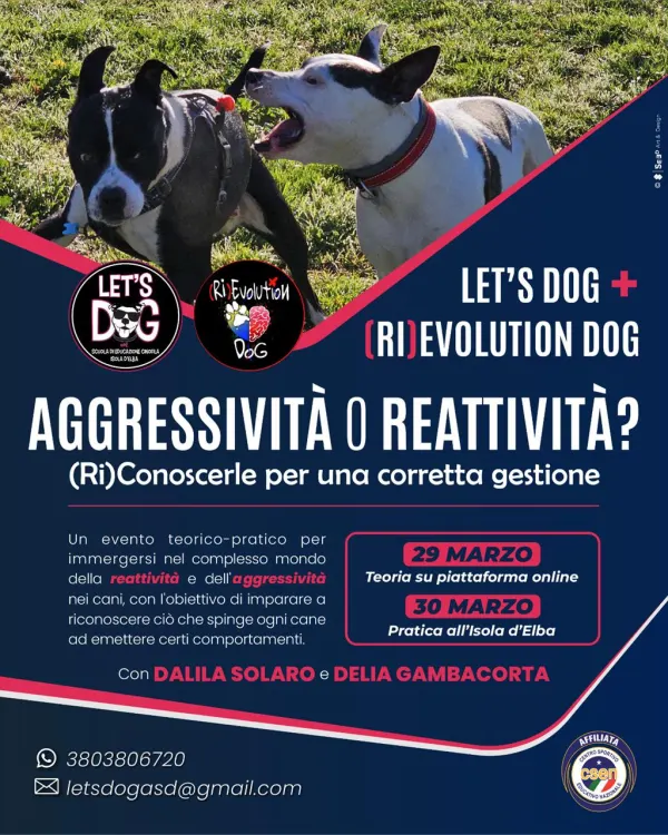 Aggressività o reattività? (Ri)conoscerle per una corretta gestione